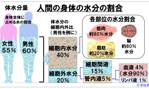 小牛血清去蛋白肠溶胶囊价格-小牛血清去蛋白肠溶胶囊价网 - 小牛血清蛋白的副作用,小牛血清去蛋白多少钱一支